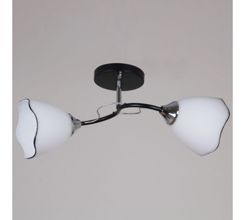 Потолочный светильник Reluce 79360-0.3-02 BK+CR