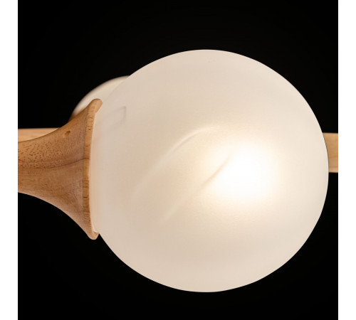 Потолочный светильник Freya Amy FR5105CL-06W