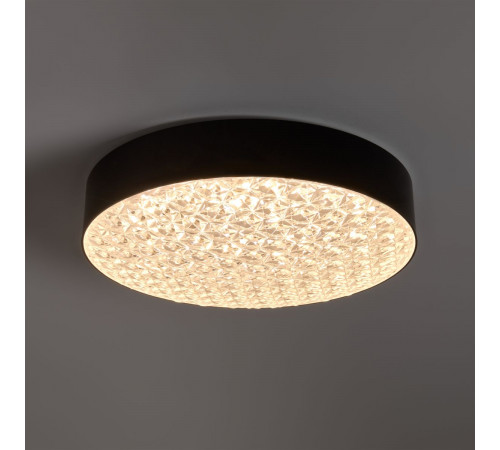Потолочный светильник Freya Crispia FR6218CL-L90B