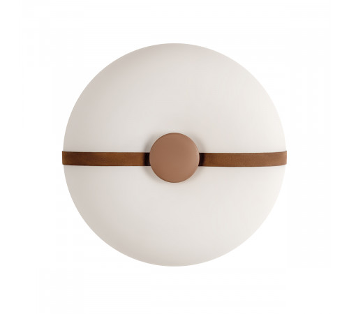 Потолочный светильник LOFT IT Bolina 10473