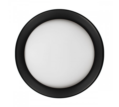 Потолочный светильник Loft IT Coin 10202 BB