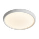Потолочный светильник Freya Obelle FR6211CL-L24W