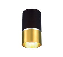 Потолочный светильник Elektrostandard DLN106 GU10 золото 4690389148590