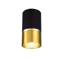 Потолочный светильник Elektrostandard DLN106 GU10 золото 4690389148590