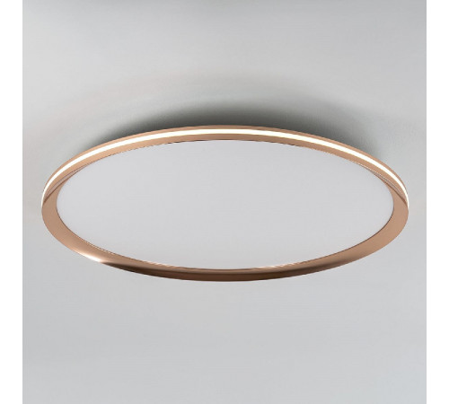 Потолочный светильник LED4U L3020-600 GD