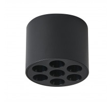 Потолочный светильник Lightstar Guarda 080647