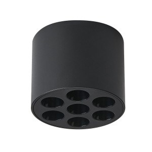 Потолочный светильник Lightstar Guarda 080647