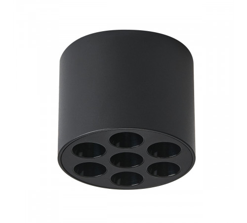 Потолочный светильник Lightstar Guarda 080647