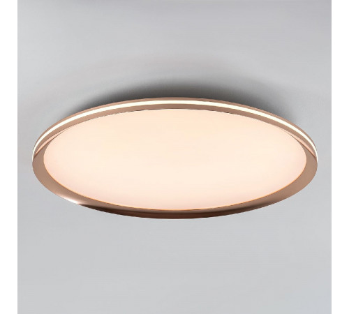 Потолочный светильник LED4U L3020-600 GD