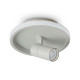 Потолочный светильник Freya Neo FR6040CL-L14W
