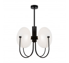 Потолочный светильник Freya Ellipse FR5320PL-04B