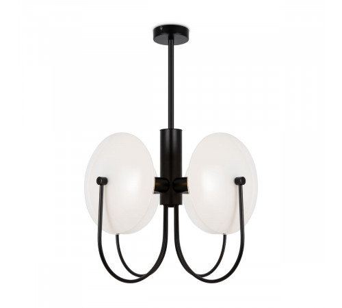 Потолочный светильник Freya Ellipse FR5320PL-04B