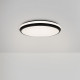 Потолочный светильник Freya Pie FR6086CL-L117B
