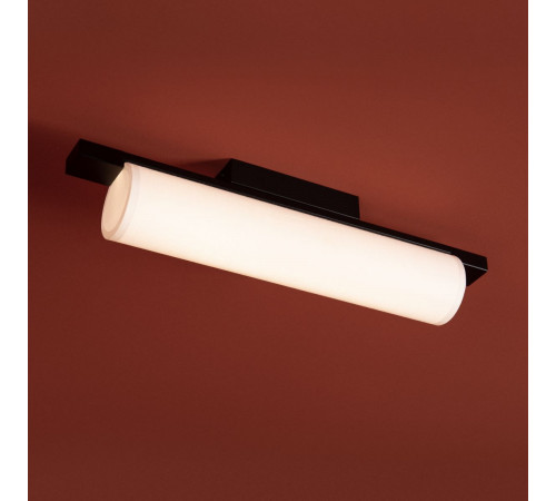 Потолочный светильник Freya Even FR5625CL-L20B