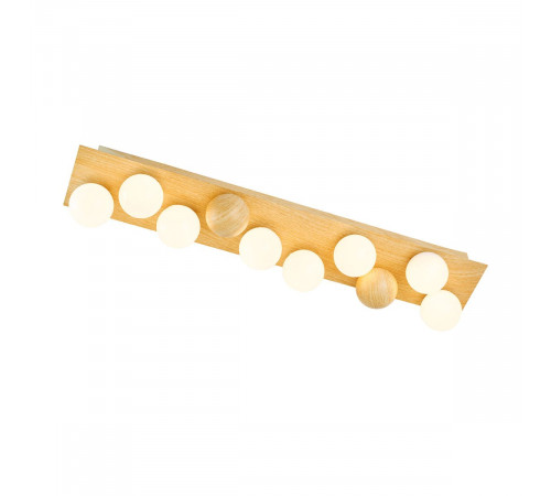 Потолочный светильник F-Promo Swarm 4695-8C