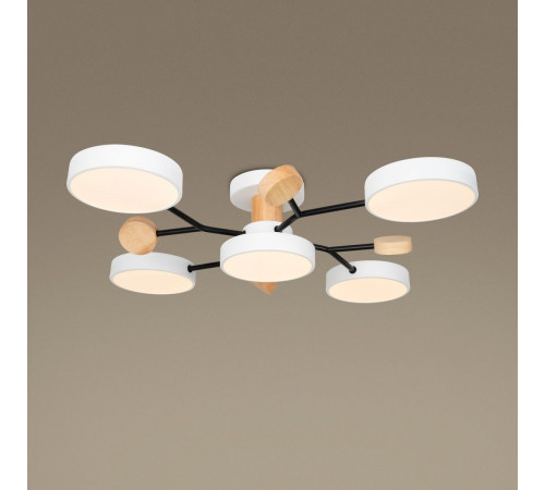 Потолочный светильник Freya Crown FR6119CL-L60W