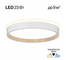 Потолочный светильник Citilux Etalon CL750240