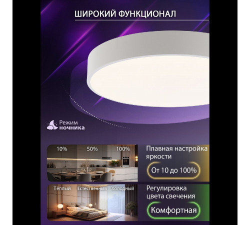 Потолочный светильник Natali Kovaltseva Modern LED LAMPS 81105/2C Потолочный светильник Natali Kovaltseva Modern LED LAMPS 81105/2C