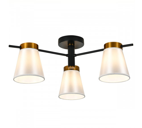 Потолочный светильник Escada Ambient ES0000056