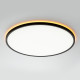Потолочный светильник Citilux Norma LED RGB CL749501