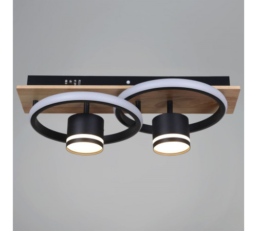 Потолочный светильник Reluce 29560-0.3-2+2 BK+WOOD