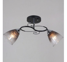 Потолочный светильник Reluce 13560-0.3-02 BK+CR