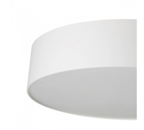 Потолочный светильник Citilux Bart CL755290