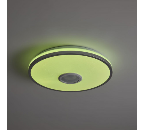 Потолочный светильник Freya Rond FR6226CL-L36W