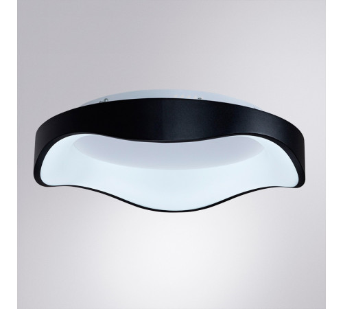 Потолочный светильник Arte Lamp Ankaa A3085PL-48BK