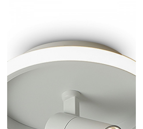 Потолочный светильник Freya Neo FR6040CL-L14W