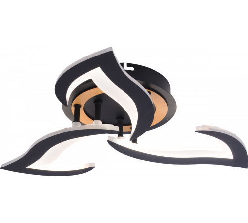 Потолочный светильник Rivoli Cassandra 6194-703 Б0070140