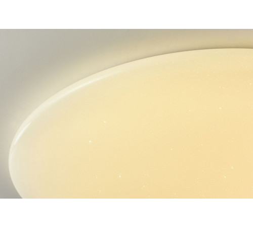 Потолочный светодиодный светильник F-Promo Luna 2319-10C