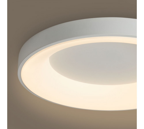 Потолочный светильник Freya Fit FR6157CL-L65W