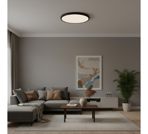 Потолочный светильник  LOFT IT Sweety 10454/500 Black