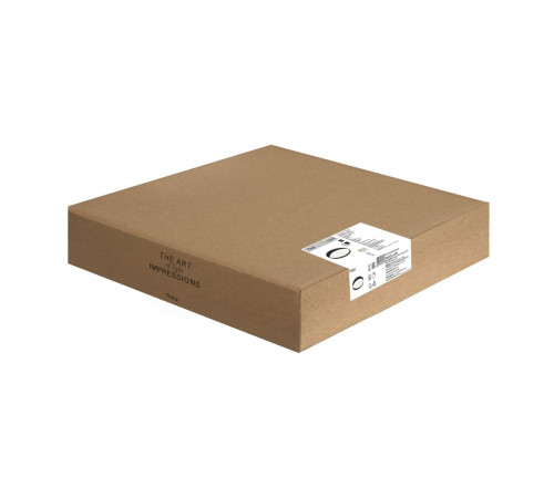 Потолочный светильник Freya Pass FR6222CL-L84B