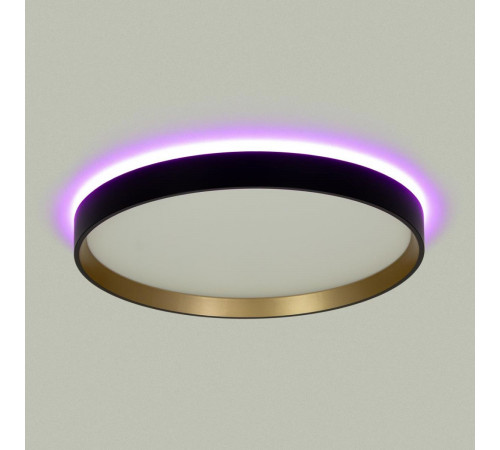 Потолочный светильник Citilux Etalon CL750321R