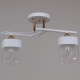 Потолочный светильник Reluce 06096-0.3-02 WH+FG