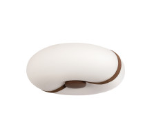 Потолочный светильник LOFT IT Bolina 10473