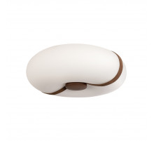 Потолочный светильник LOFT IT Bolina 10473