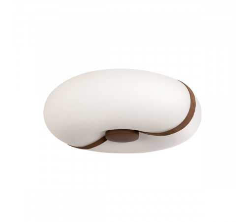 Потолочный светильник LOFT IT Bolina 10473