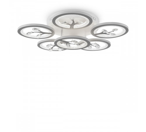 Потолочный светильник Freya Bodge FR10017CL-L92W