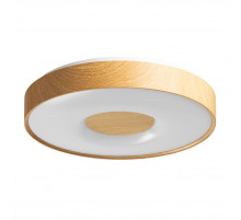 Потолочный светильник De Markt City Ривз 674017901