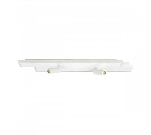 Потолочный светильник Escada 20047led 20047SMA/02LED WH Потолочный светильник Escada 20047led 20047SMA/02LED WH