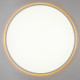 Потолочный светильник Citilux Norma LED RGB CL749600