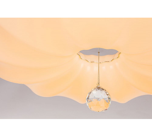 Потолочный светодиодный светильник Escada 10231/S LED