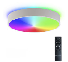 Потолочный светильник Natali Kovaltseva Modern LED LAMPS 81105/1C