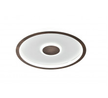 Потолочный светильник Freya Freya Orbit FR5421CL-L80BR