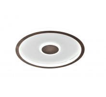 Потолочный светильник Freya Freya Orbit FR5421CL-L80BR