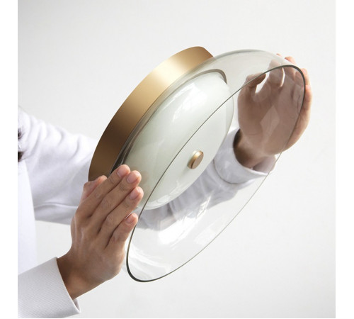 Потолочный cветильник ImperiumLoft Clarity 140608-26