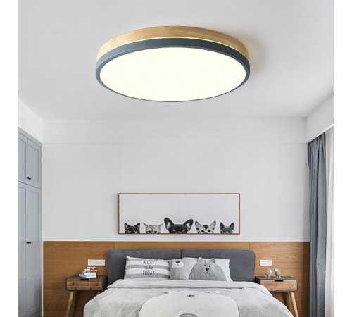 Потолочный светильник ImperiumLoft Disc Dh 189893-26